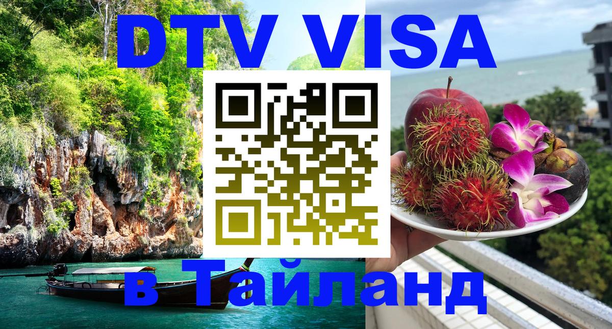 Оформление DTV визы под ключ: стоимость и тарифы, только загранпаспорт - 